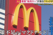 【マクドナルド】ポケカの転売で１０万円稼いだ転売ヤー「転売した自分ではなく、対策をしなかったマクドナルドが悪い」「神イベントです。もう一回やってほしい…。」