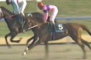 【競馬】お前ら去年のきさらぎ賞の勝ち馬覚えてるか？