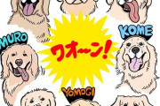 【画像】天才・きくちゆうき先生、今度は犬の似顔絵屋さんを始めた模様ｗｗｗｗｗ【100日後に死ぬワニ】