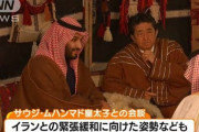 【立憲会派・小西ひろゆき】安倍総理の中東外交に「これほど無責任で無能な外交はあり得ない」「総理が努力すべきはイランと米国・サウジの仲裁外交」
