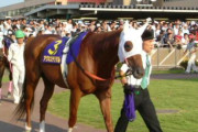 【芝◎ダ◎距離適当】アグネスデジタルとかいう日本競馬史上屈指の天才