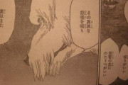 ブリーチ三大の謎「愛染の卍解」「犬の死神」