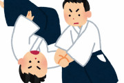 合気道始めたけど質問ある？