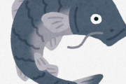 ？？？「魚に痛点は無い！だから何をしてもいい！」 ← これ