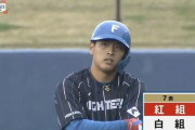 【日ハム紅白戦】紅組、7回に打線爆発！加藤豪、王、野村の連続タイムリーで逆転に成功！