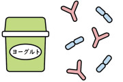 人「ビフィズス菌は腸内に届くまでに9割死滅しますよ」