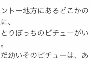 サトシのピカチュウさん、新アニポケでピチュー時代を後付けされてしまうｗｗｗｗｗｗｗｗｗ