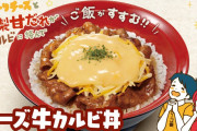 【画像】すき家、チーズ牛カルビ丼を販売wwwwwwwwwwwww