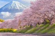 外国人が感動してしまった自然風景集　日本の富士山＆桜もランクイン！