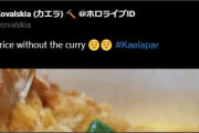 【ホロライブ】カレーなしエビカレーライスとはなんだ