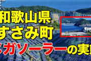 【熊本】阿蘇の景観覆うパネル、メガソーラー続々…環境省が規制強化へ