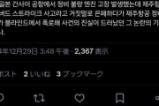 やっぱり韓国人だからじゃないかな　〜　【韓国】「バードストライク」vs「それでは説明できない」…旅客機事故原因について専門家たちの意見は様々