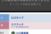 ●藤田晋オーナーの名前が決まった1歳馬達