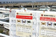 【木更津】ワタリガニ捕獲する外国人が急増…SNSで情報広がったか　9～11月夜間、遊漁者による採捕「禁止」に　19人中、国籍は中国16人、ベトナム3人