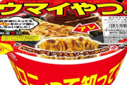 エースコックさん、社運を賭けてハンバーグ弁当の下に敷いてあるパスタを焼きそばで完全再現して新発売