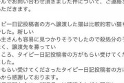 【悲報】タイピー日記、殺処分寸前の子猫を飼い始めたはずだったのに保健所に嘘をバラされてしまう