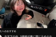 【悲報】ファミリー系YouTuber、子供が車に閉じ込められた動画を投稿して炎上するｗｗｗｗ