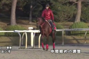 【レースを撹乱】ヨシオ　2週連続でシンガリ負け