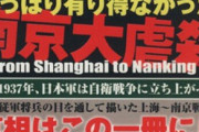 自称愛国者「日本軍は世界一紳士な軍隊！南京大虐殺なんてなかった！」日本兵「虐殺沢山あったぞ」