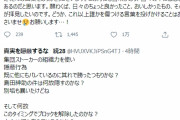 【悲報】声優の佐藤利奈さんを攻撃し続けるアンチ、今日も元気にリプしてしまう・・・・