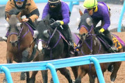 【大阪杯弱気コメント】横山武史「エフフォーリアは有馬記念の時と比べたらマシだけど、１００％まではまだまだ」