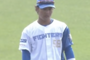 日本ハムドラ5・奈良間、巨人ドラ4・門脇、ガチで当たりショートだった