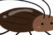 もしゴキブリが絶滅したらどういう影響が出るの？