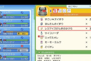 ポケモンダイパ、レジアイス専用復活アイテム見つかるｗｗｗｗｗｗ
