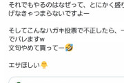 AKB48新聞「うちにふせいはないっす。文句言わずにAKBシン買えボケ」