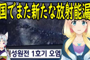 韓国人の反応「韓国抗議デモプラカードの誤訳が笑う」→笑ってるんじゃねーよ。。。。。