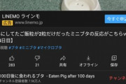 【悲報】100日後に食われる豚、ガチで飽きられてしまう…