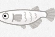 メダカだと思って取った魚が実はカダヤシだったときの感覚