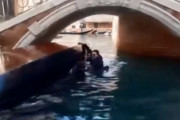 ヴェネツィアで中国人グループが「自撮りやめろ」という指示に従わず　⇒　ゴンドラ転覆ｗｗｗ