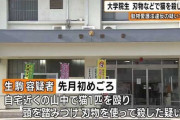 【恐怖】猫を殺す動画をあげた大学生さん、釈放される…猫界隈ブチギレ