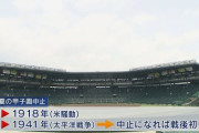 【速報】夏の甲子園　中止決定