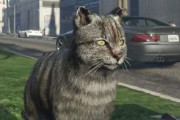 『GTAオンライン』でチーターによって猫に変えられてしまったプレイヤーがかわいそうすぎると話題にｗｗｗｗ