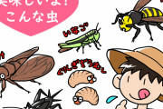 【閲覧注意】高級昆虫食が美味しそうだと話題に