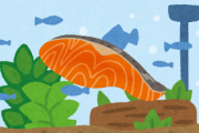 今の子供「魚って切り身の状態で海泳いでるんだよね」←どうすんねんこれ