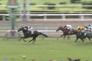 【競馬】小倉競馬酷すぎじゃね？
