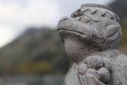【UMA】「日本で3体だけ」前足の指が5本、後ろ足は3本…300年の酒蔵で受け継がれたカッパのミイラ
