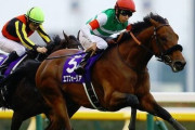 有馬記念、「エフフォーリア」が優勝！G1・3勝目