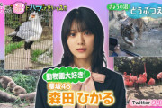 【櫻坂46】森田ひかる、上京してきて初めて上野動物園に行った結果【沼にハマってきいてみた 】