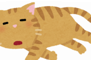 【画像】細長すぎるネッコｗｗｗｗｗｗｗｗｗｗｗｗｗｗｗｗｗｗｗｗ