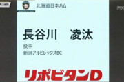 長谷川凌汰(24) 188cm/92kg MAX153km/h←これが育成3位だった理由