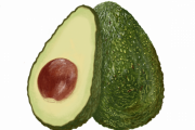 【疑問】アボカド「美味しいです、料理への使い道が豊富です」←天下を獲れない理由ｗｗｗｗｗ