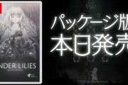 【朗報】呪いの運命にあらがう少女と騎士達の儚くも美しい物語『エンダーリリーズ』パッケージ版が本日発売！！アートブック、サウンドトラックが付いた限定版も登場