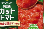鶏胸肉をカットトマトでぐつぐつ煮たやつ美味すぎる