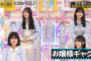 【乃木坂46】岩本蓮加のネタに伊藤純奈が厳しい表情を見せる...