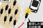 ツールド北海道死亡事故で新証言「現場付近では事故を起こした車以外にもたくさん車か通過していた、トラックも走ってた」