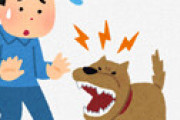 犬を散歩させている人を狙う「噛まれ屋」が話題　弁護士と組んで慰謝料を請求